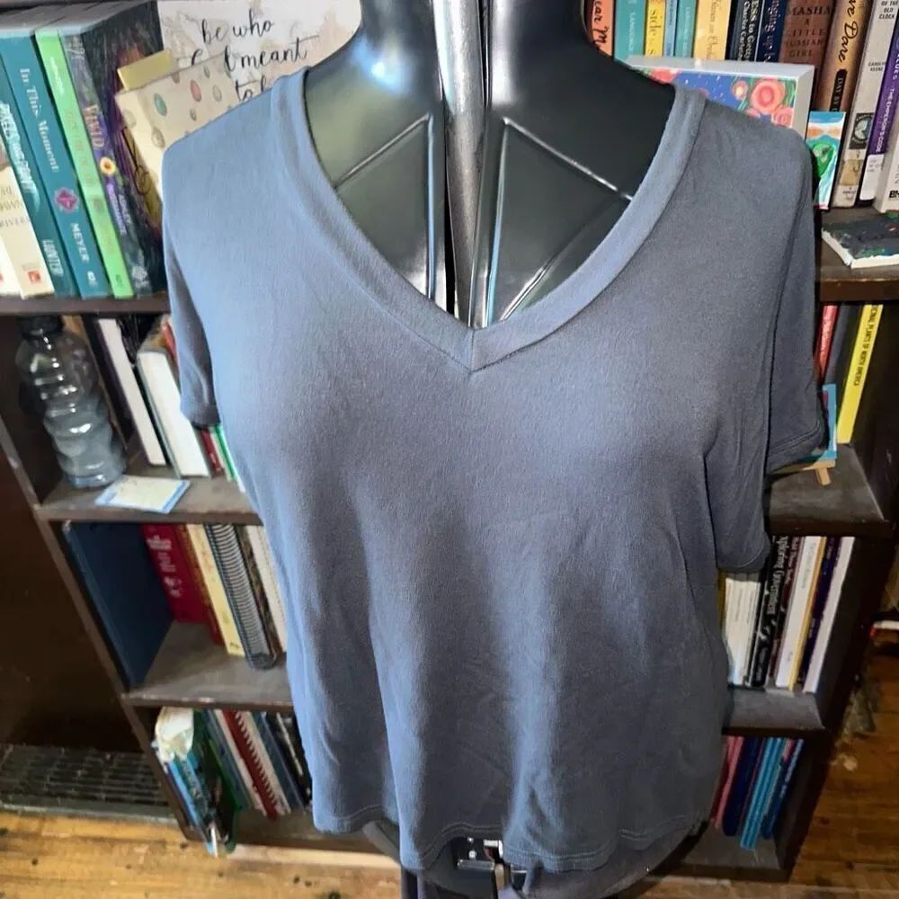 Z Supply gray cozy oversized L v-neck knit normcore tee